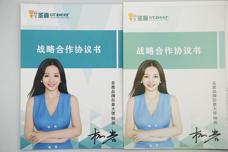 產(chǎn)品畫冊